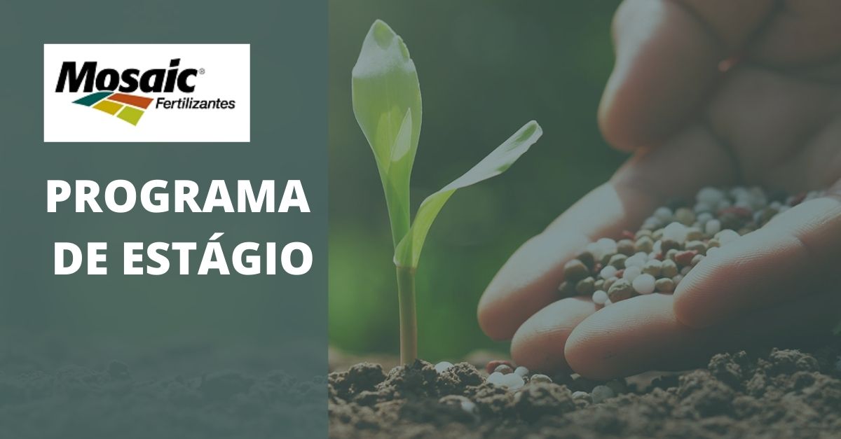 Mosaic Fertilizantes inscrições abertas para o Programa de Estágio