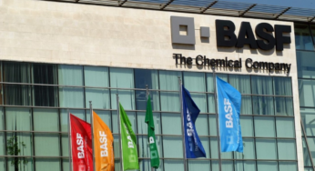 Trabalhe na Basf em São Bernardo: Vaga Afirmativa para Pessoas Negras