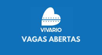 Processo Seletivo: Viva Rio abre Vagas de Emprego para Diversas Áreas
